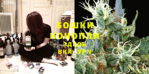 гидра Заводоуковск