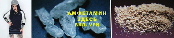 гидра Заводоуковск