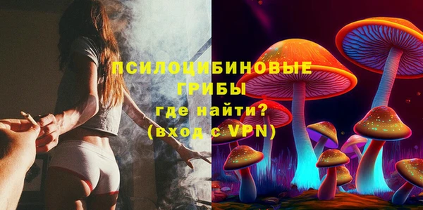 гидра Заводоуковск
