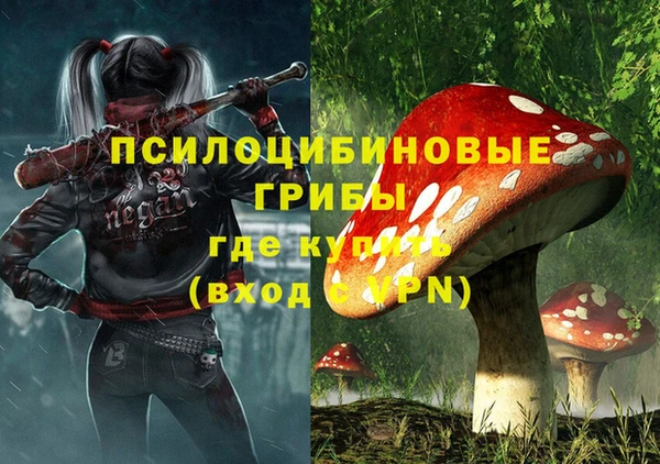 альфа пвп Заволжье