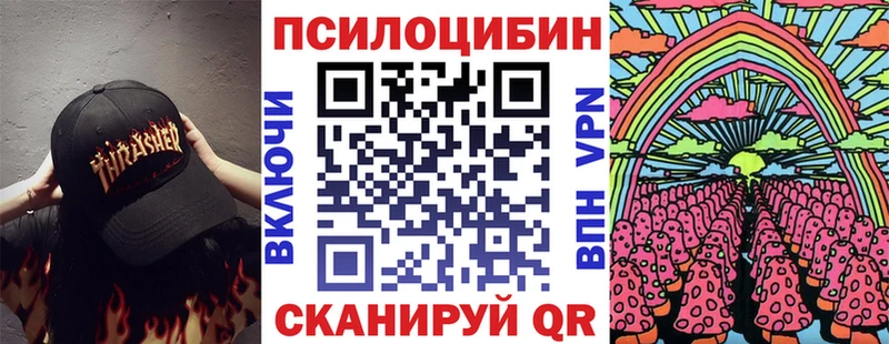 Галлюциногенные грибы Psilocybe  Купить где  Тайга 